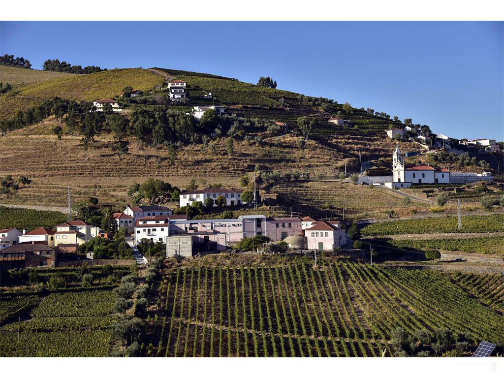 Vignobles du Douro - Octobre 2016