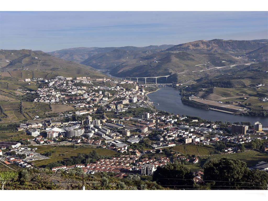 Vignobles du Douro - Octobre 2016ue sur le Douro - Regua Octobre 2016
