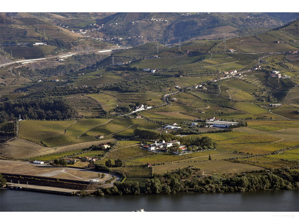 Vignobles du Douro