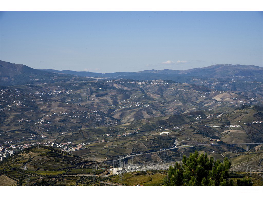 Vignobles du Douro - vue depui Sao Domingos