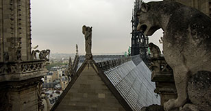Les toits de notre Dame de Paris