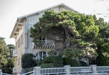 Royan