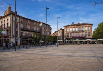 _DSC1131 copie