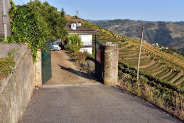 Quinta do Alto Douro
