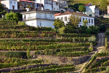 Ensemble immobilier