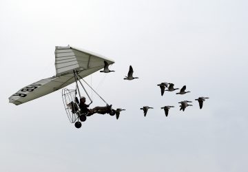 Air Expo - Meeting