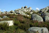 Monte Alvao