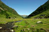 Pyrenees