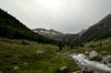 Pyrenees