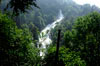 Pyrenees