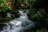 Pyrenees