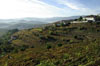 Douro