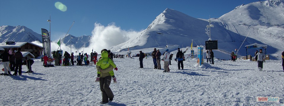 Pyrenees