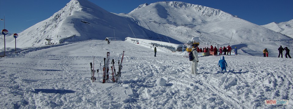 Pyrenees