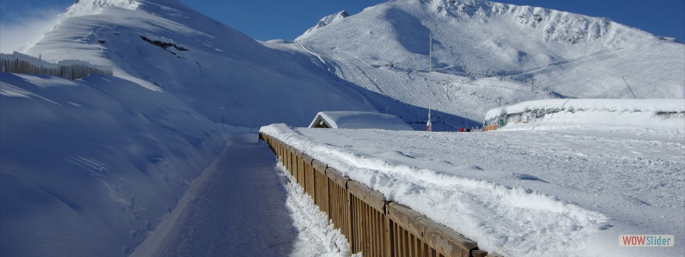 Pyrenees