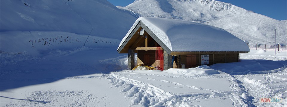 Pyrenees