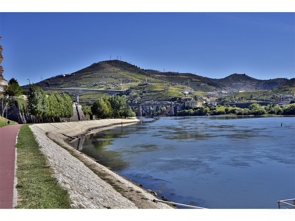 Fleuve Douro Rive gauche