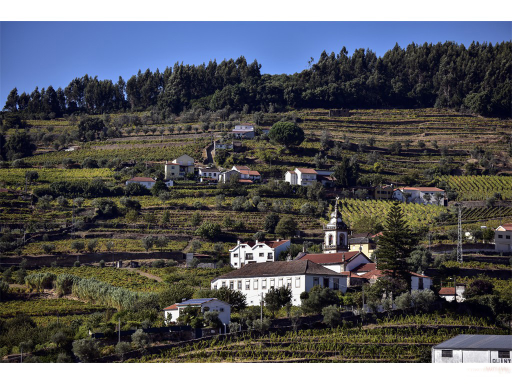 Region du Douro - octobre 2016