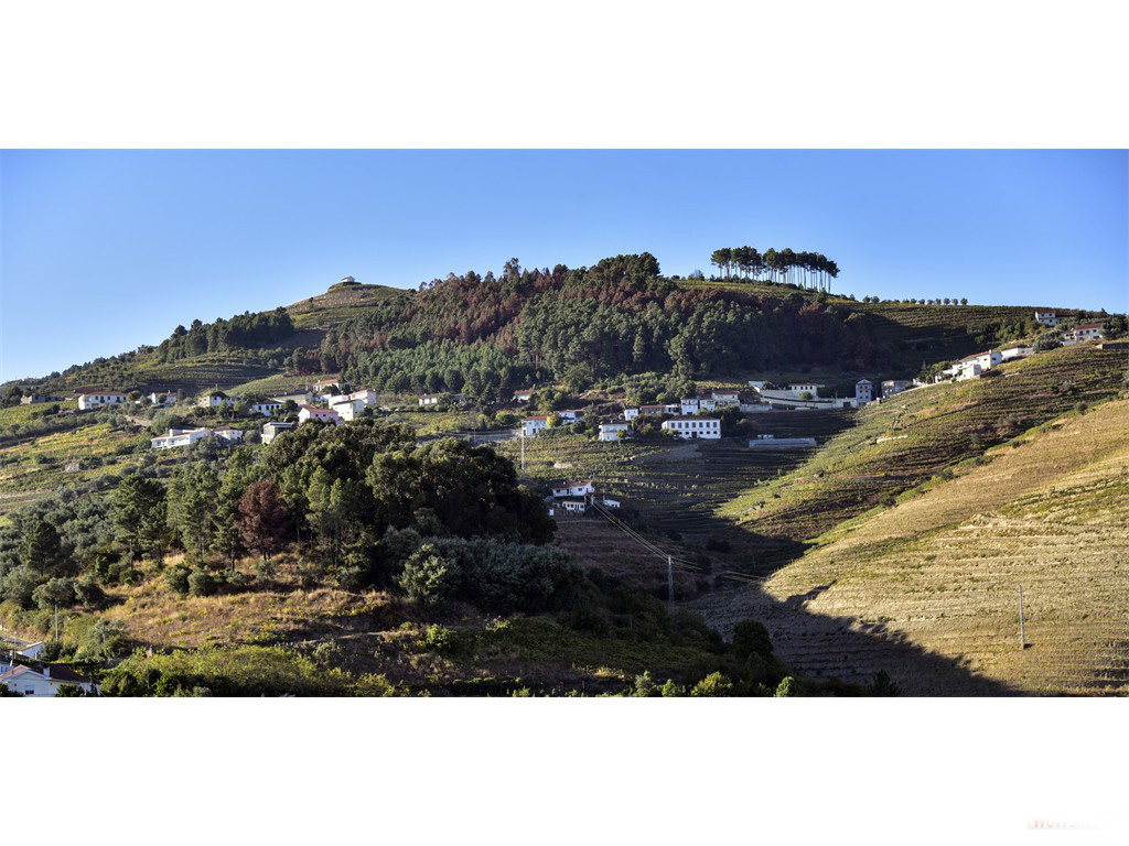 Region du Douro - octobre 2016