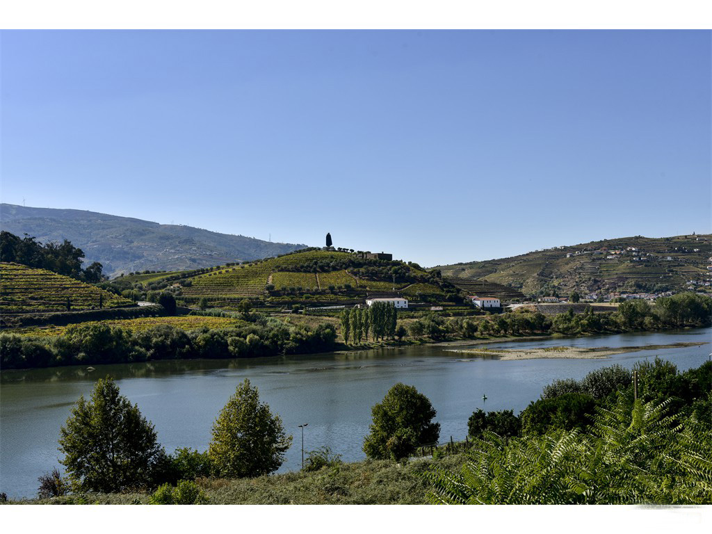 Douro - Regua