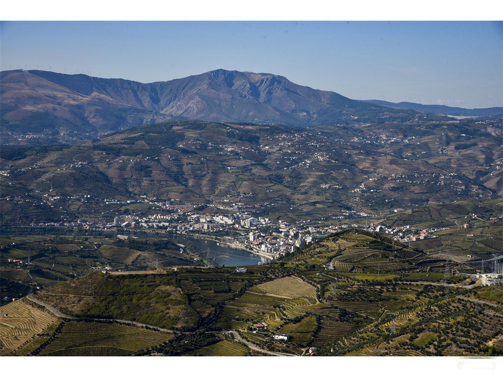 Vignobles du Douro - vue depui Sao Domingos