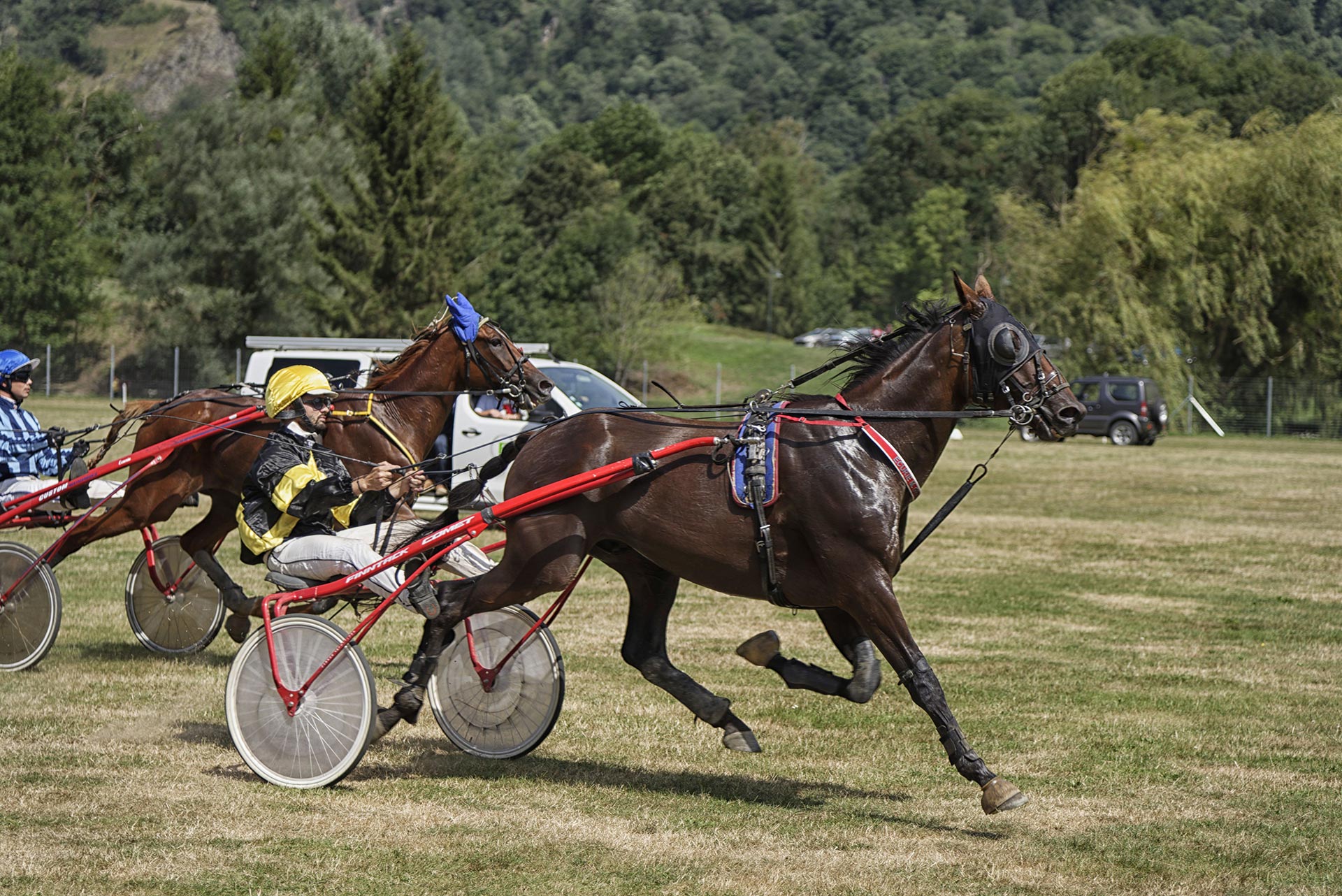 Courses  Hypiques à Luchon