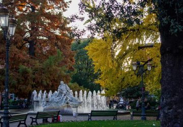 Place Wilson