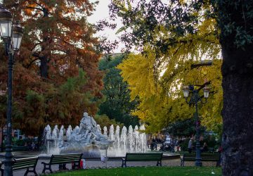 Place Wilson