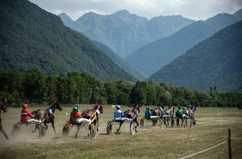 Course Hipique