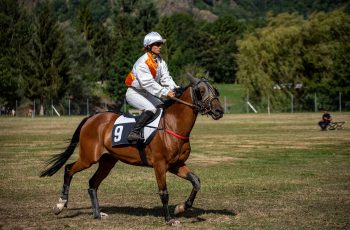 Course Hipique